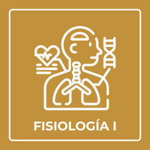 Material didáctico - Fisiología I